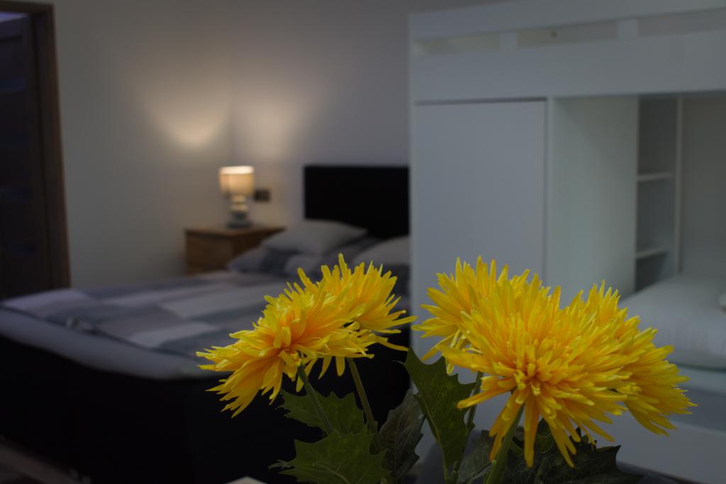 Family - Négyágyas apartman zuhanyzóval