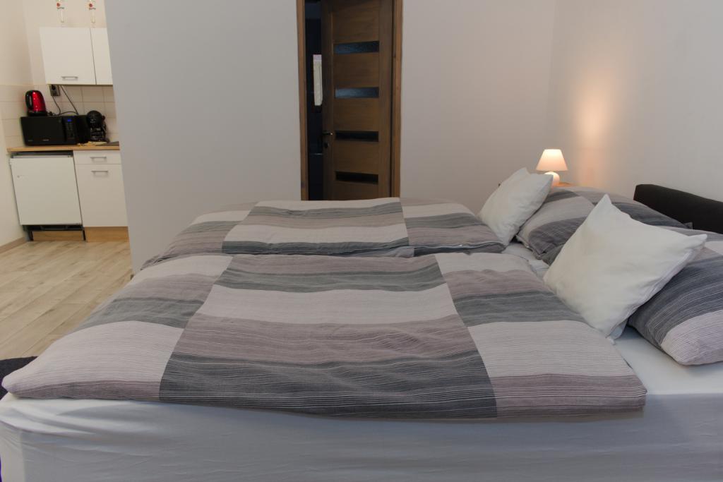 Travel - Franciaágyas apartman zuhanyzóval Travel - Franciaágyas apartman zuhanyzóval